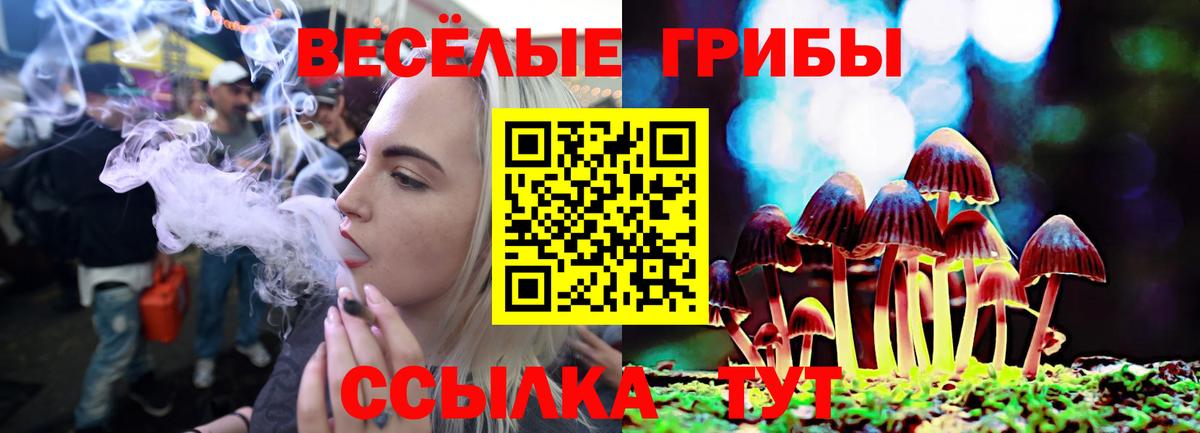 Галлюциногенные грибы ЛСД Вязьма